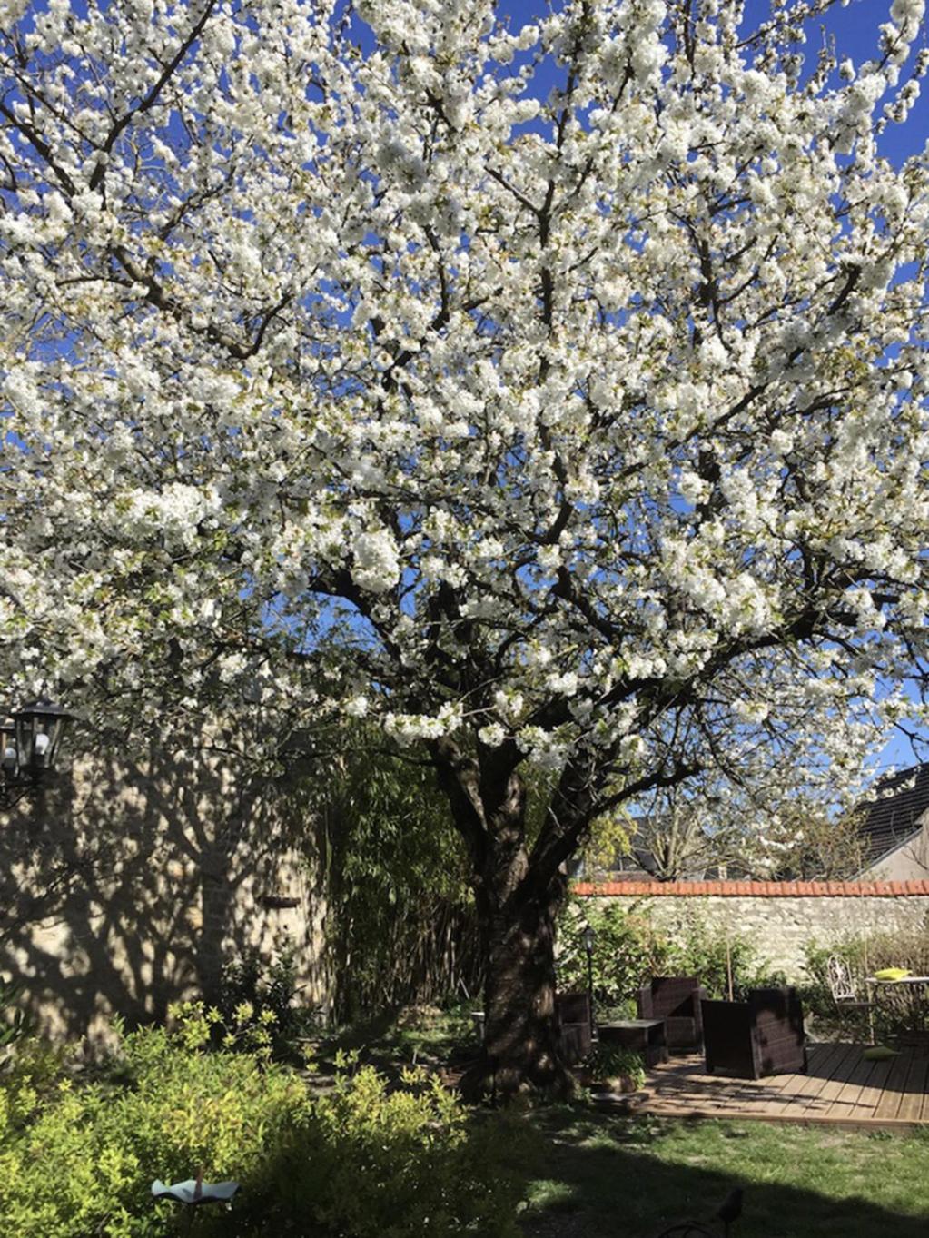 Aquarelle Bed & Breakfast Sainte Maure de Touraine Bagian luar foto